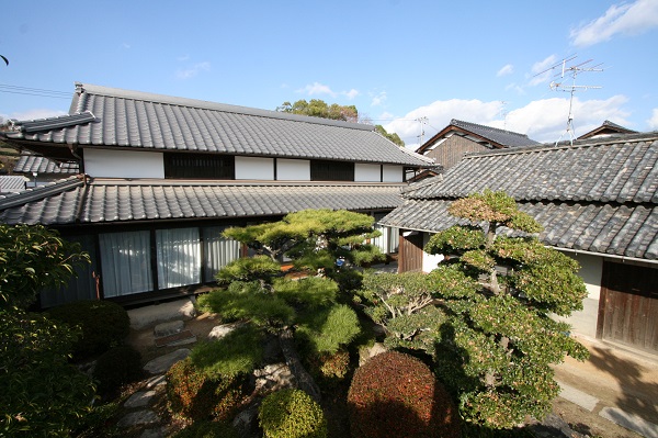 サムネイル画像